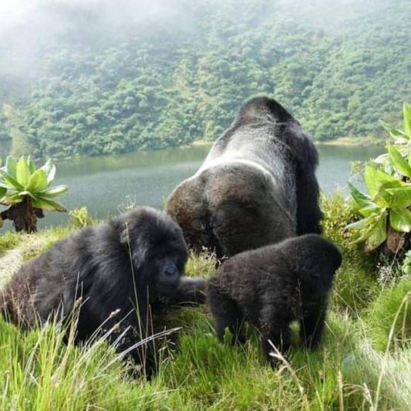 Musanze
